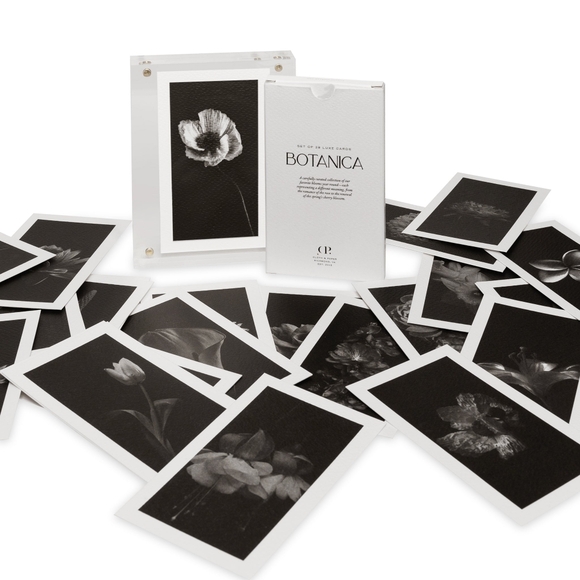 Filofax Regency Compact Planner in Ostrich Italian Calf Leather - Picture 13 of 16